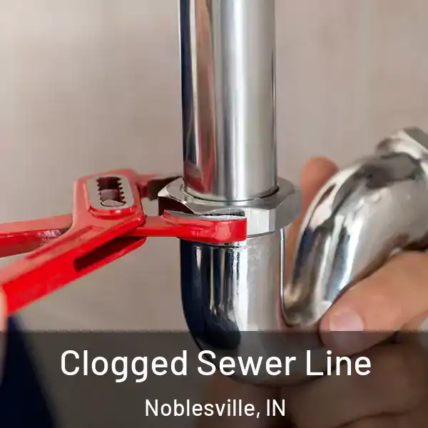  Clogged Sewer Line Noblesville, IN