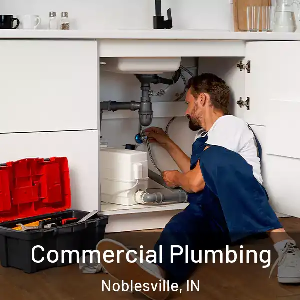  Commercial Plumbing Noblesville, IN